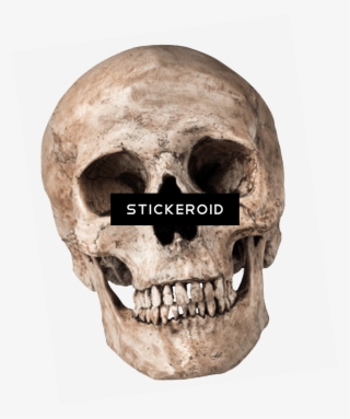 Human Skull - Sonu Rajput Editing Background #5752424