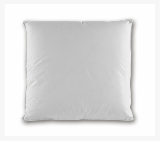 Pillow - Cushion #5753972