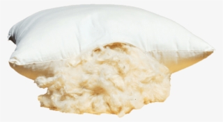 Our Kapok Pillows Are Made With 100% Organic Cotton - Jellyfish #5754170