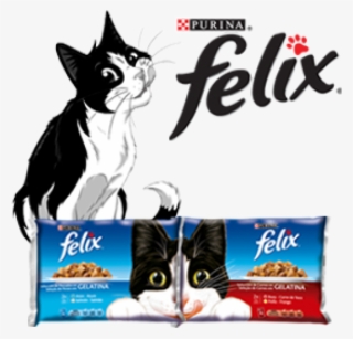 Felix Cat Food #5754417