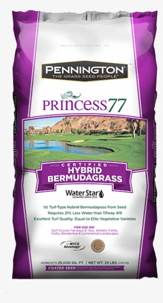 Princess - Pennington Grass Princess 77 #5757244