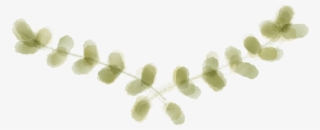 Post Navigation - Watercolor Laurel Wreath Png #5757968 Post Navigation - Watercolor Laurel Wreath Png #5757968