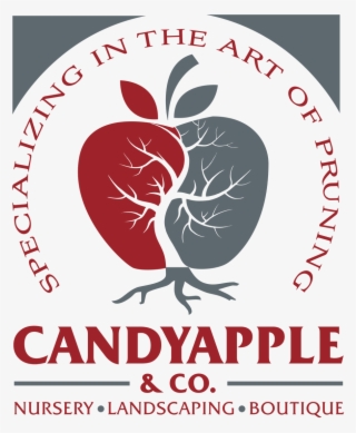 Making Moments Memorable With Candyapple - Jpeg #5759045