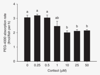 The Epithelial Permeability Reduces With Increasing - Mean #5761908