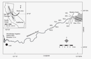 Locations Of 10 Egg-tube Study Sites Within The Lower - Diagram #5762019
