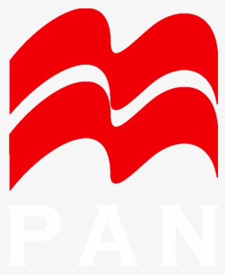 Post - Pan Dragon Ball Multiverse - Free Transparent PNG Download - PNGkey