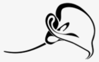 Calla Lily Clipart Border - Calla Lily Tattoo #5767592