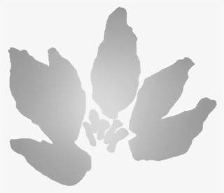 Lotus 1 - Download #5768160