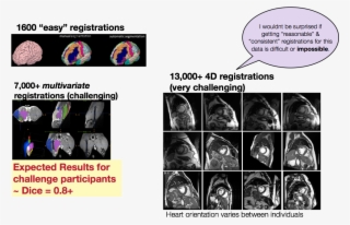 Anatomical Dictionaries - Animal #5769153