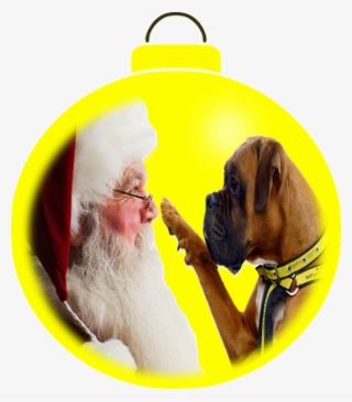 Merry Christmas Everyone The Blog Will Be Taking A - Weihnachtspostkarte Postkarte #5771742