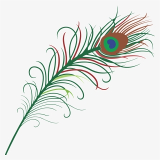 Pluma Pavo Real Png - Peacock Feather Cartoon Png #5774497