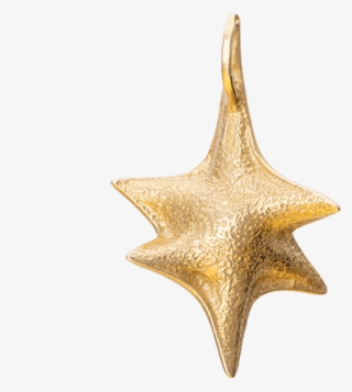 Sale - Marine Invertebrates #5774789