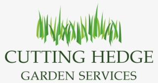 About Us - Vu Foods Pvt Ltd #5779142