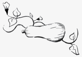 Butternut Squash And Apple Soup - Pumpkin Soup #5780072