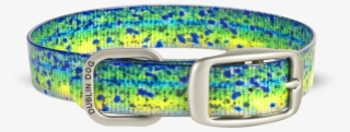 Dublin Dog Collar #5780216