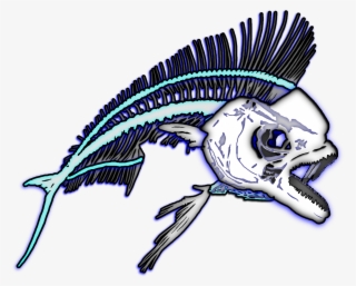 Banner Free Download Mahi Fish Bones Graphic - Mahi Mahi Bonefish Tattoo #5780916