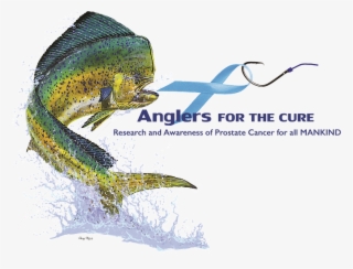 Aft Fish Logov3-3 - Mahi Mahi Carey Chen #5781224