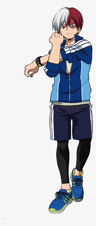 I Got This Much - My Hero Academia Figure Todoroki #5781374