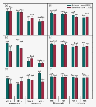 Gas Exchange And Pigment Levels In Leaves From Two - Alanine Transaminase Activity #5781593