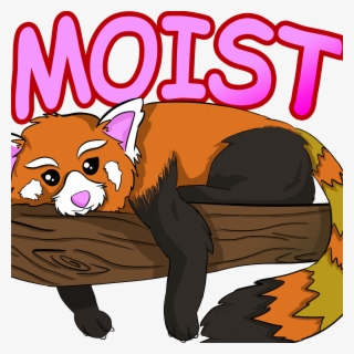 0 Replies 2 Retweets 6 Likes #5785057