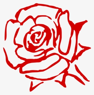 Rose Family Flower China Rose Garden Roses Cabbage - Art Line Red Rose #5786038