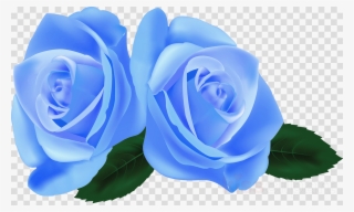 Garden Roses #5786287