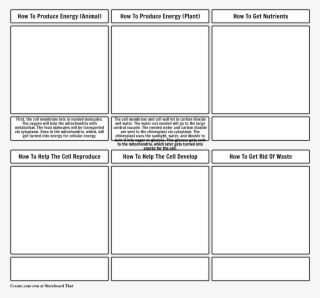 Female Characters In Mockingjay #5786867