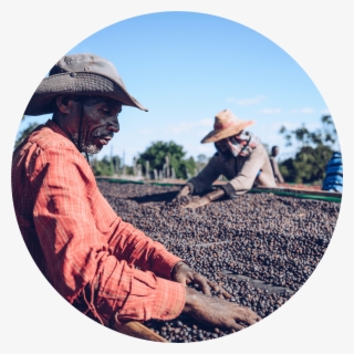 Shakiso Natural Sidamo - Ethiopia Natural Guji Shakiso #5787019