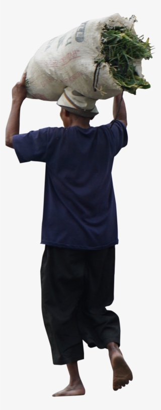 Farmer Png Farmer Png - Portable Network Graphics #5787087