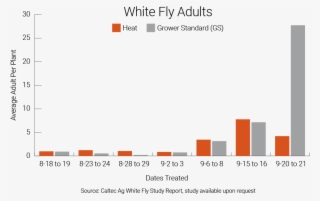 Results Of White Fly Adult Populations On Tomato Plants - Tomato #5787148