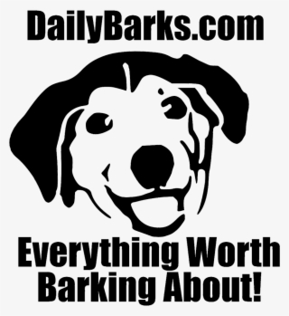 Daily Barks Daily Updates For Dog Lovers - Cute Dog Shower Curtain #5787402