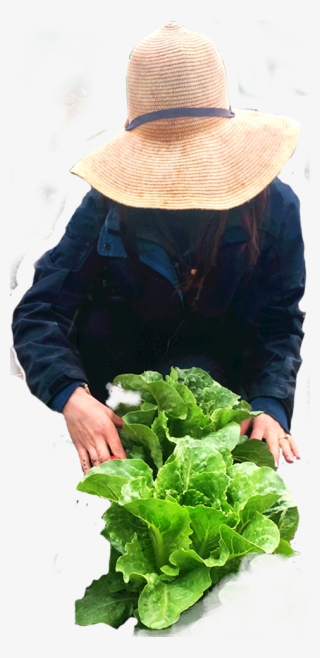 Farmer - Spring Greens #5787408