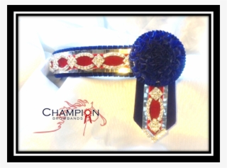 Mirror Designs #5788245