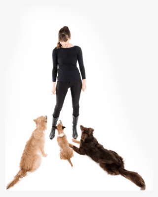 Let's Do This - Cat Jumps #5788251