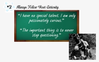 These - Dressage #5788573