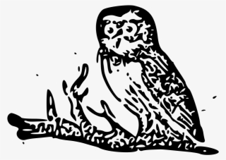 File Cherokeeprimer Owl Png Black And White Owl Svg - Illustration #5788623