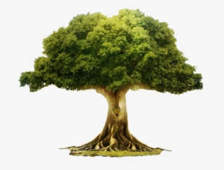 Etree - Grimms' Fairy Tales Jacob Grimm And Wilhelm Grimm #5788817