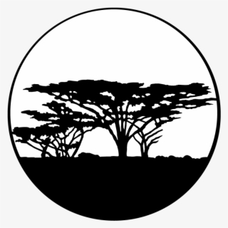 Trees - Africa - Apollo Trees Africa Steel Gobo Ms-4117 #5788932