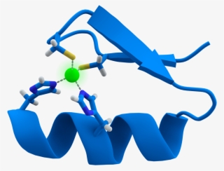 Zinc Finger Protein #5789439