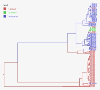 The Host Transmission Tree Shows That Yf Originates - Diagram #5790523