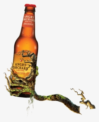 Angry Orchard Apple Ginger - Hard Core Golden Hard Cider - 12 Fl Oz Bottle #5794397