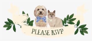 Rsvp - Portable Network Graphics #5795666
