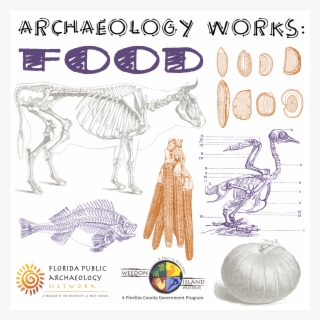 View Flyer - Food Archaeologist #5797174