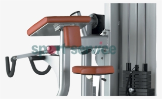 Biceps Curl X130 - Biceps Curl #5797593