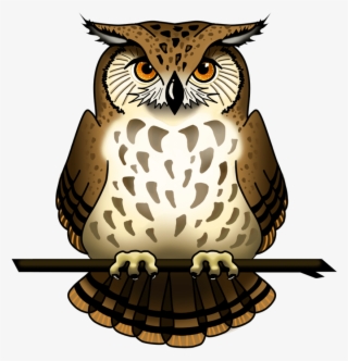 Owl Png #5798209