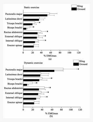 Comparison Of The Muscular Activity Levels During The #5798524