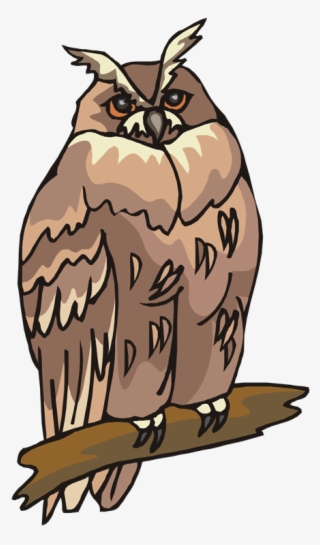 Free - Owl Animals Clipart #5798905