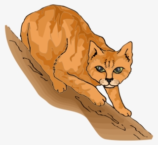 Persian Cat Wildcat Cat Tree Cartoon Purr - Cat In The Tree Cartoon #5799746