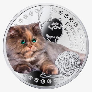 Niue 2014 Man's Best Friends -cats Series - Mennica Kot Europejski #5799840