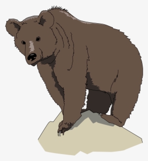Brown Png Animals Pinterest Brownbear Brownbearpng - Brown Bear #581885